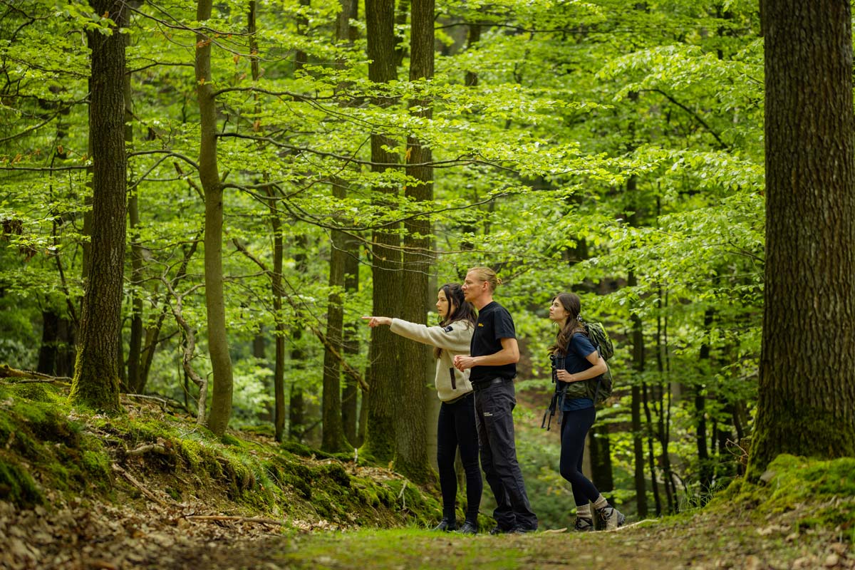 Dozentinnen von Wohllebens Waldakademie im Wald in der Eifel
